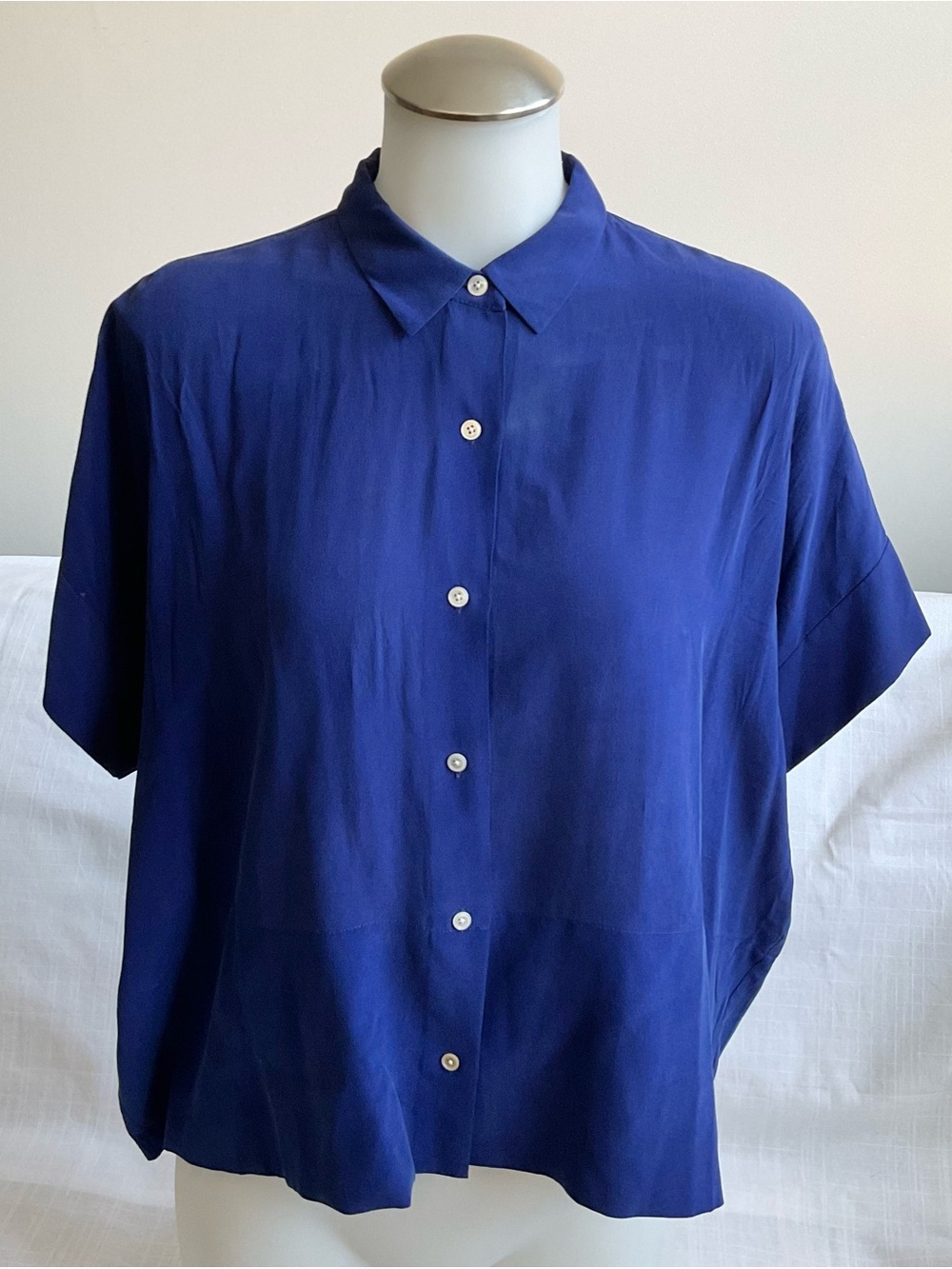 Everlane | Silk Boxy Shirt Cobalt Blue Oversized Blouse | 6